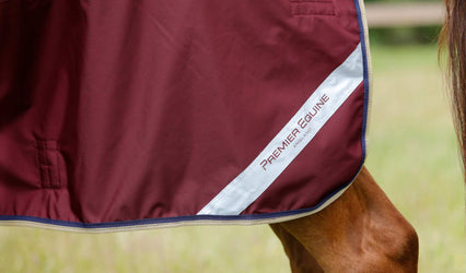 Premier Equine SS20 Collection